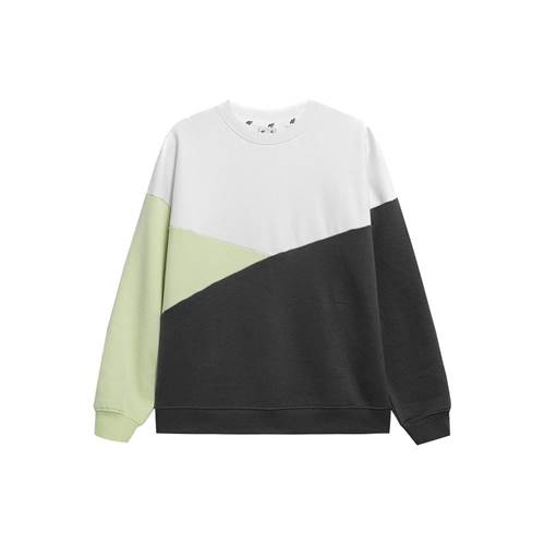 Sweatshirts 4F BLD013