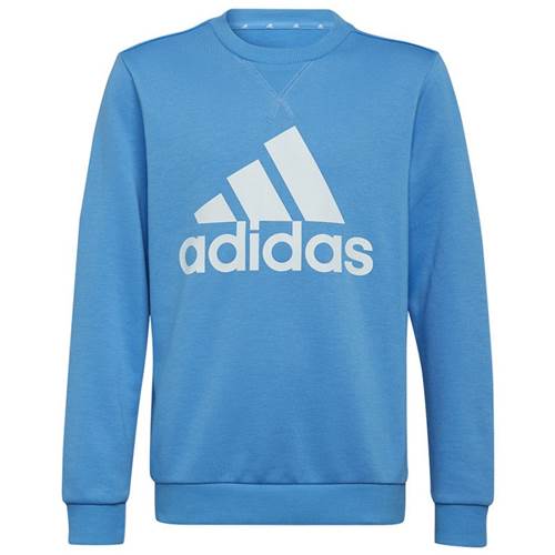 Sweatshirts Adidas Big Logo JR