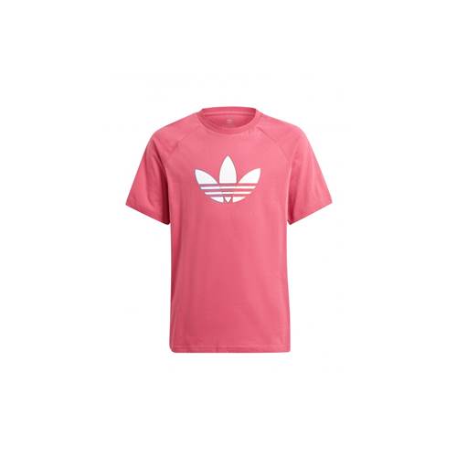 T-shirts Adidas Adicolor Graphic Tee