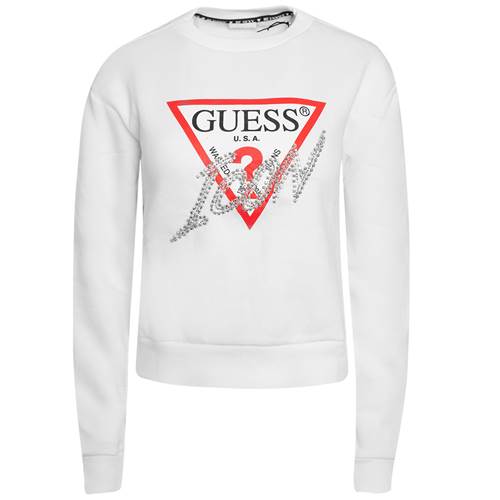 Sweatshirts Guess W2BQ18KB683 G011