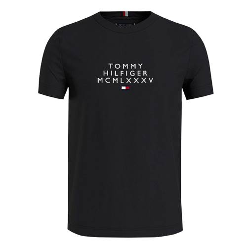 T-shirts Tommy Hilfiger T-shirt Męski Small Centre