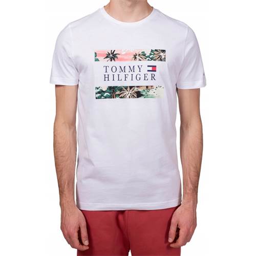 T-shirts Tommy Hilfiger XM0XM01949YBR
