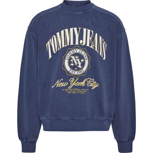 Sweatshirts Tommy Hilfiger DM0DM17798C87