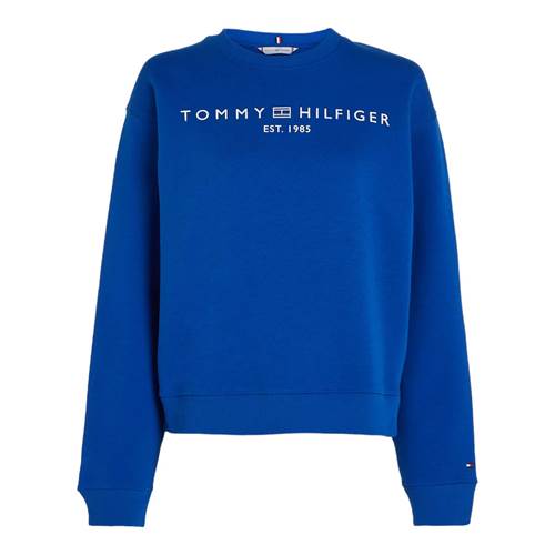 Sweatshirts Tommy Hilfiger WW0WW39791C66
